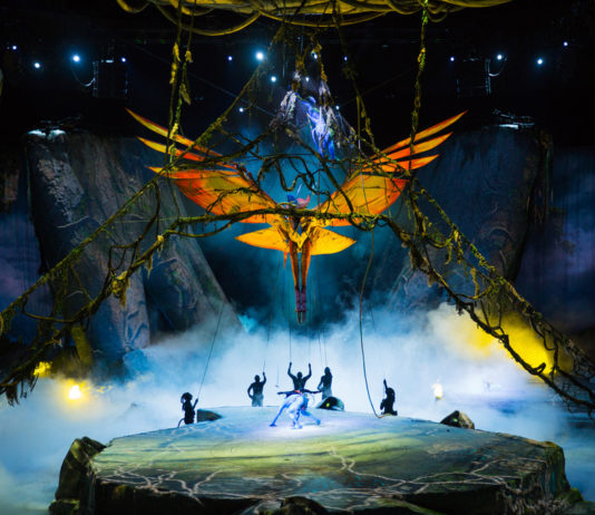 TORUK - L'ultimo Volo, Le Cirque du Soleil