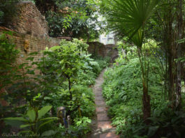 Di Verde in Verde - Bologna : giardini aperti dalla città alla collina