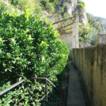 limone-sul-garda-DSC_0560