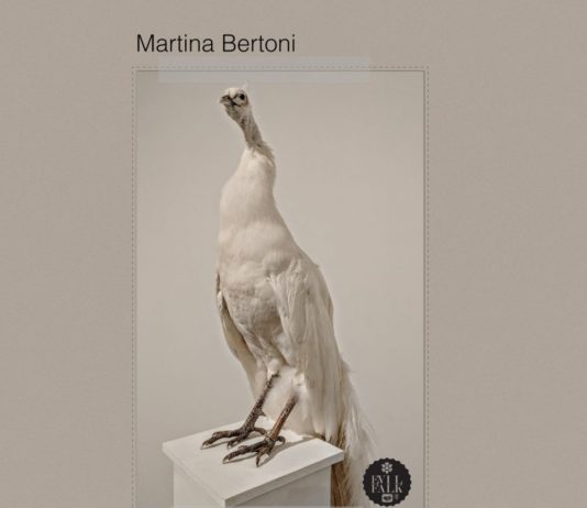 All the Ghosts are Gone, Martina Bertoni. Falk Records (8 gen 2020, ALBUM COVER)